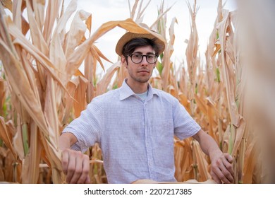 The Farmer In His Corn Field Hit By A Terrible Drought. Drought Concept.