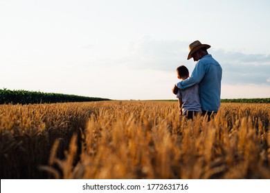 Farmer And His Son Walking Fields Of Wheat