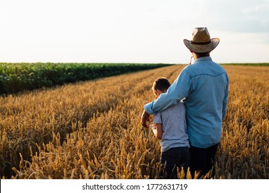 Farmer And His Son Walking Fields Of Wheat
