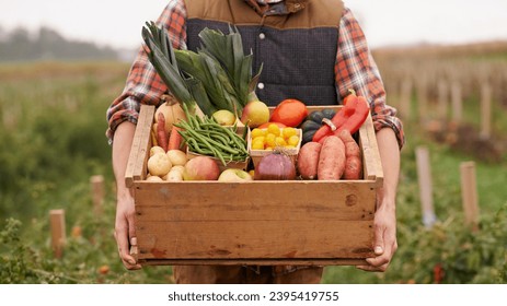A farmer holding a basket of fresh organic vegetables in a field. A farmer holding a basket of organic vegetables in a field. A farmer holds a basket of fresh organic vegetables in a field. - Shutterstock ID 2395419755