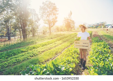 40,334 Person holding farm vegetables Images, Stock Photos & Vectors ...