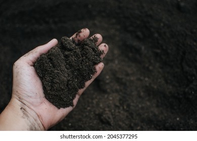Farmer holding pile of arable soil (Peat moss, Fertilizer). Agriculture, organic gardening, planting or ecology concept. Banner. Top view. Copy space. 