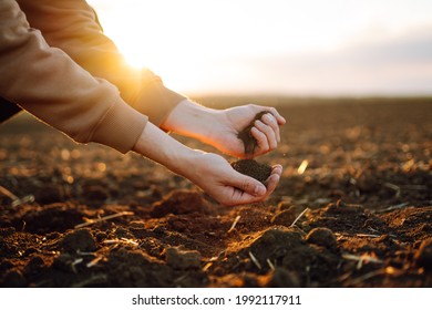 Farmer holding soil in hands close-up. Male hands touching soil on the field. Farmer is checking soil quality before sowing wheat. Agriculture, gardening or ecology concept - Shutterstock ID 1992117911