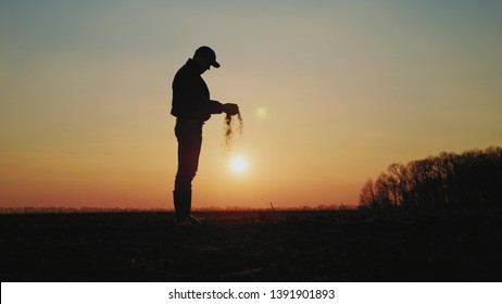 Farmer Holding Soil In Hands At Sunset. Male Hands Touching Soil On The Field. Farmer Is Checking Soil Quality Before Sowing Wheat.