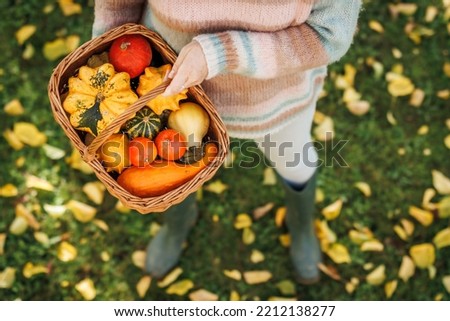 Farmer holding wicker basket with harvested pumpkins, gourd and squash. Autumn season in garden