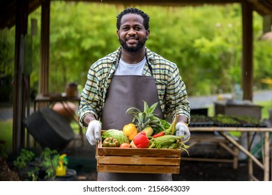 Farmer holding wooden box full of fresh  vegetables. Basket with vegetable. Man holding big box with different fresh farm vegetables.