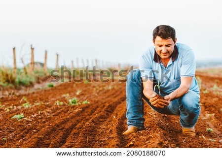 The farmer holds a corn plant in the field. Agriculture is one of the main bases of the Brazilian economy