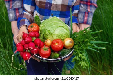 the farmer holds a crop of vegetables in his hands. Selective focus. nature. - Shutterstock ID 2162340427