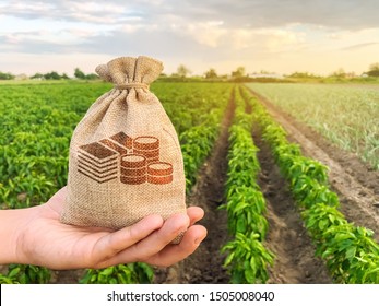 The farmer holds a money bag on the background of plantations. Lending and subsidizing farmers. Grants and support. Profit from agribusiness. Land value and rent. Taxes taxation. Agricultural startups