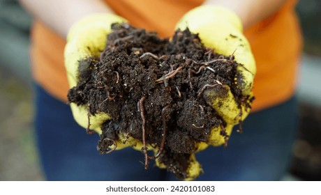 A farmer holds red wiggler worms in his hand - Powered by Shutterstock