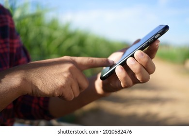 The farmer holds a smartphone and touches the screen to connect the intelligent management system within the farm. smart farmers research and market information online.