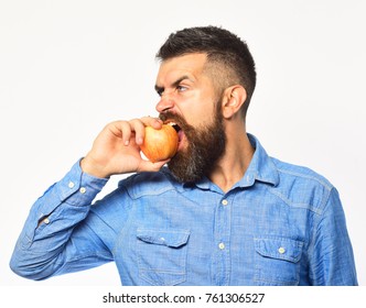 Farmer with hungry face eats fresh apple. Guy presents homegrown harvest. Gardening and fall crops concept. Man with beard holds red fruit isolated on white background.