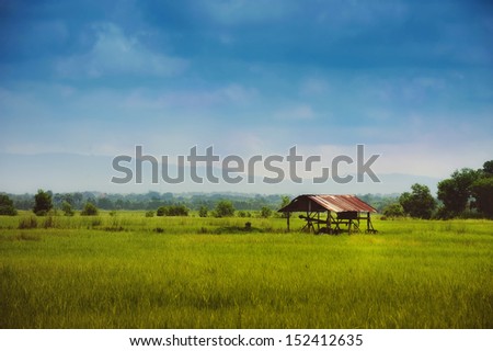 Farmer hut on green fields ,THAILAND. 