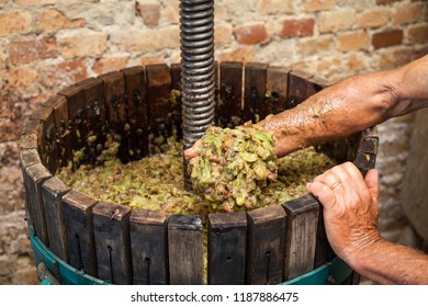 L'agriculteur garde dans sa main le moût blanc d'une presse à vin