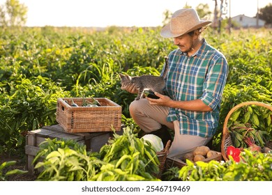 Farmer with kitten harvesting different ripe vegetables in field on sunny day - Powered by Shutterstock