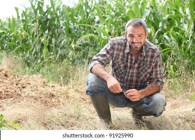 Farmer Kneeling By Crops