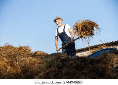 A farmer lifting straw with a pitchfork, showcasing determination and effort in agricultural tasks.