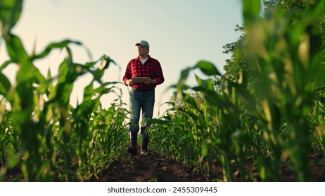 Farmer man in corn field works with computer, Business Farm. Agriculture concept. Farmer with computer tablet in green corn field. Modern digital technologies, Worker works on farm. Agronomist on farm