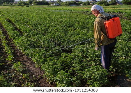 Farmer man spraying potatoes with poison against colorado potato beetle. Gardener poisons pest insect in the garden. Sprinkles with sprayer.