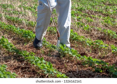 Farmer With Manual Pesticide Sprayer In Soy Field