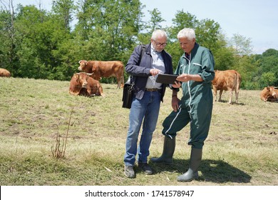 Farmer Meeting With Financial Counseller In Farm