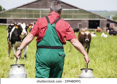 farmer with milk churns at his cows - Shutterstock ID 199480991