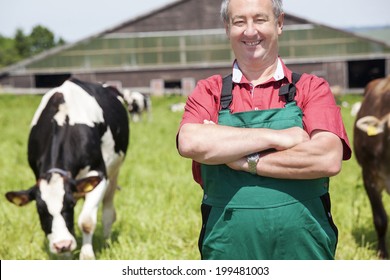 251 Farmer Looking His Cows Images, Stock Photos & Vectors 