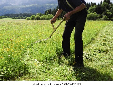 Farmer Mowing Green Grass With A Scythe In The Field