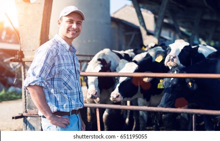 Farmer Near Cows