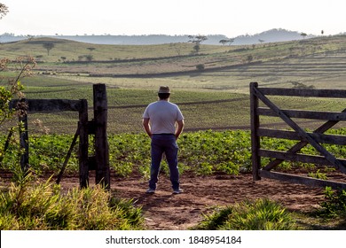 farmer on his back observes a cassava field beside a wooden gate on a farm in Brazil