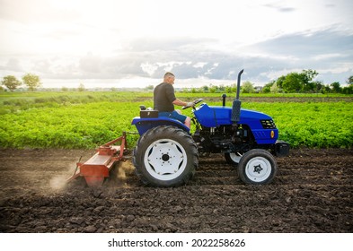 A farmer on a tractor cultivates a field. Farm work. Milling soil, Softening the soil before planting new crops. Farming. Plowing. Loosening surface, land cultivation. Mechanization in agriculture.