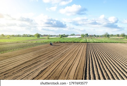 Farmer On A Tractor Drives On A Farm Field. Agriculture And Agribusiness. Growing Vegetables. Land Market, Lease Of Plots For Sowing. Agricultural Land. Revival Of Rural Settlements, Farms Subsidies