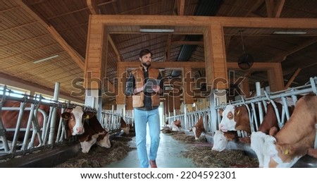 Farmer in orange vest using tablet computer in modern dairy farm facility cowshed. Agribusiness owner checking data hold tabletPC in animal husbandry. Milking manufacture professional concept.