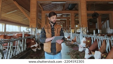 Farmer in orange vest using tablet computer in modern dairy farm facility cowshed. Agribusiness owner checking data hold tabletPC in animal husbandry. Milking manufacture professional concept.