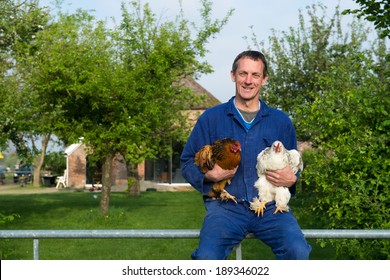 Farmer Outdoor Is Carrying Chickens