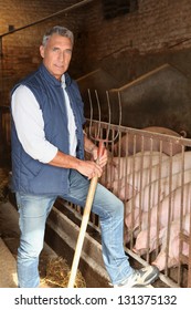 Farmer In A Pig Pen