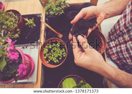 Similar – Image, Stock Photo Woman hands showing to girl young seedlings in pot