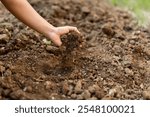 Farmer prepare soil for planting by organic gardening practices.