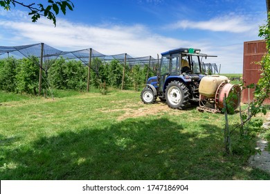 Farmer Preparing Tractor for Orchard Spraying. Farmer Sitting in Tractor Cabin at His Apple Plantation Covered with Hail Protection Netting. Blue Sky with White Clouds Above Orchard in Springtime.