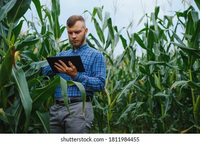 2,220 Corn Scientist Stock Photos, Images & Photography | Shutterstock