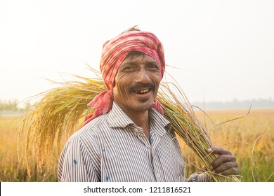 Farmer And Rice Sheaf, West Bengal, India, Jan 1 2000