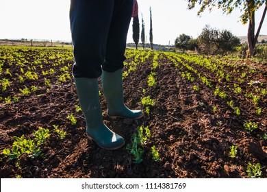 farmer in rubber boots