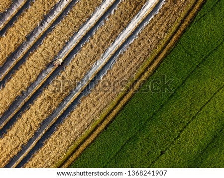 Similar – Erntemaschine, die im Feld arbeitet. Kombinierte Maschine