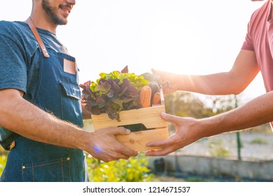 Farmer selling his organic produce on a sunny day. Farmer giving box of veg to customer on a sunny day. Local farmer talks with customer at farmers' market