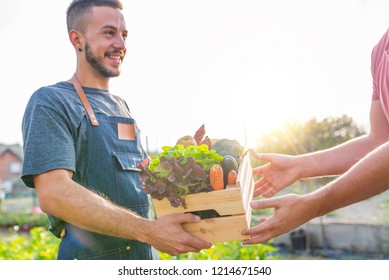 Farmer selling his organic produce on a sunny day. Farmer giving box of veg to customer on a sunny day. Man buying vegetables at farmers market from a handsome farmer