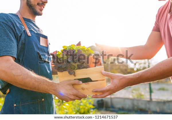Farmer selling his organic produce on a\
sunny day. Farmer giving box of veg to customer on a sunny day.\
Local farmer talks with customer at farmers\'\
market