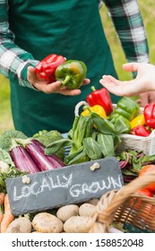 Farmer Selling Organic Peppers At A Farmers Market