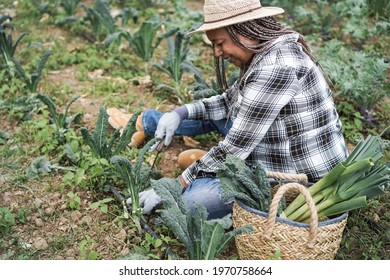 Farmer Senior Woman Working At Greenhouse While Picking Up Vegetables - Focus On Face