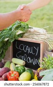 Farmer Shaking Hands At Market On A Sunny Day