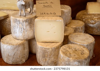 Farmer shop in La Grave ski village, Hautes Alpes, France, cheese for sale, lettering in French means Tomme from Sheep milk, farmers cheese, close-up